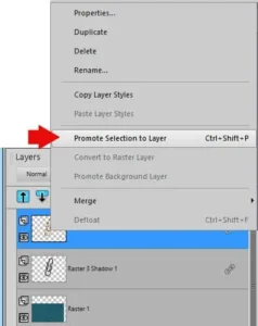PaintShop Pro Layers palette showing the Promote Selection to a Layer command